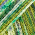 DROPS Fiesta 16 herb garden · print