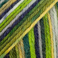 DROPS Fabel 542 green · print